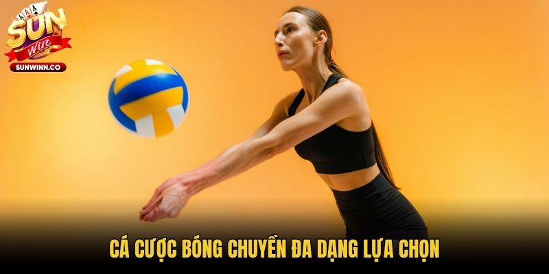 Cá cược bóng chuyền đa dạng lựa chọn